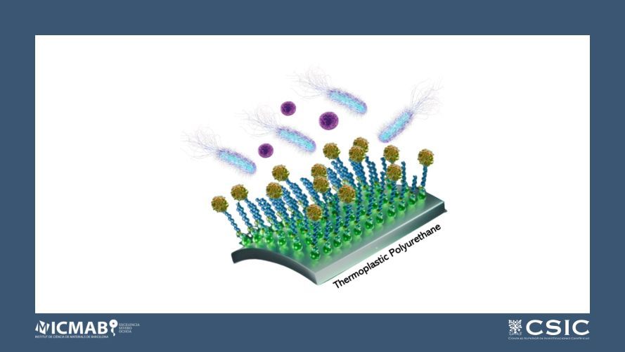 Activating Thermoplastic Polyurethane Surfaces with Poly(ethylene glycol)-Based Recombinant Human α-Defensin 5 Monolayers for Antibiofilm Activity