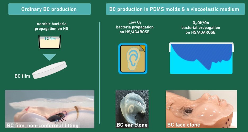 In situ shaping of intricated 3D bacterial cellulose constructs using sacrificial agarose and diverted oxygen inflow