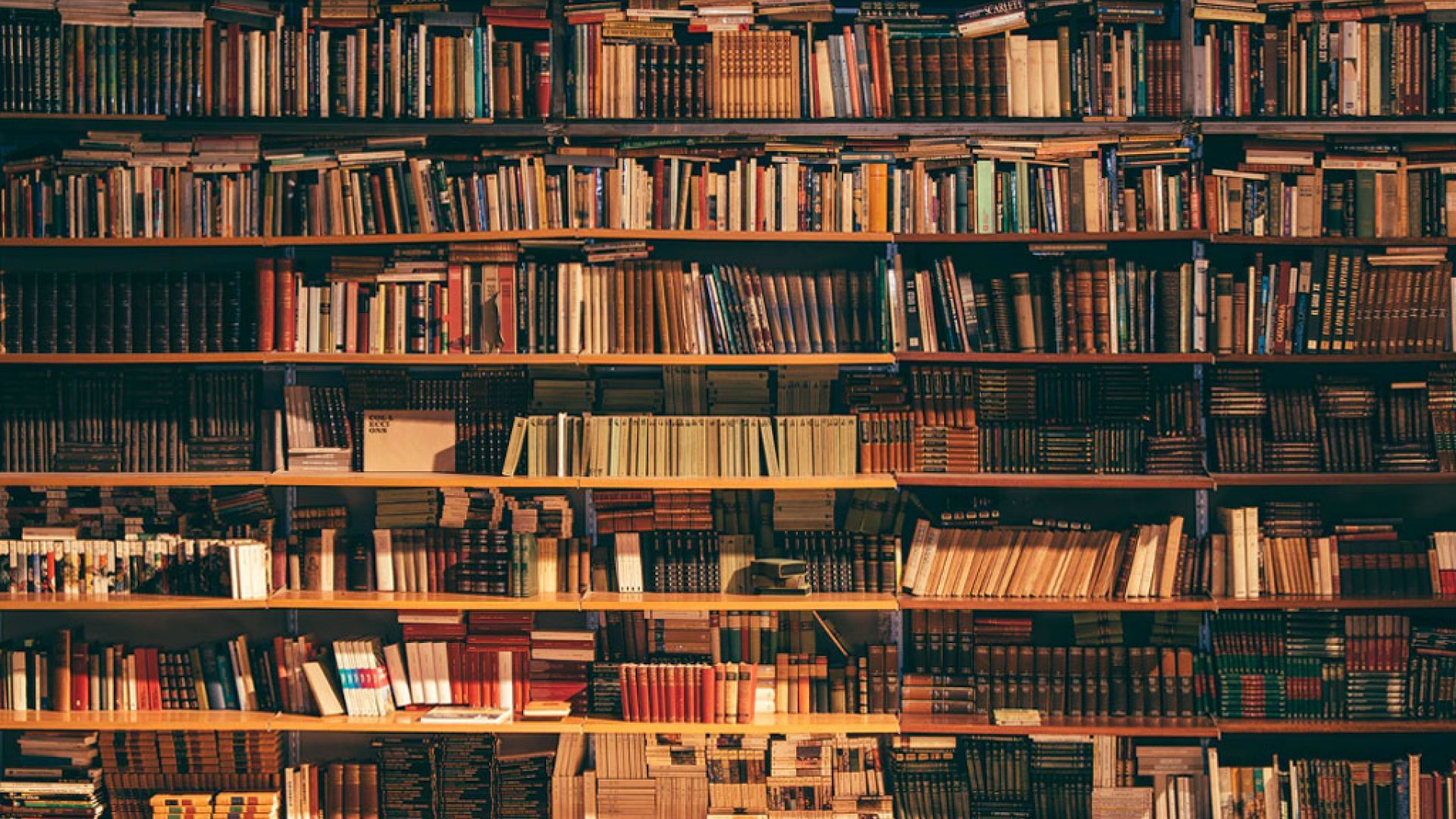 Books on bookshelves by Alfons Morales