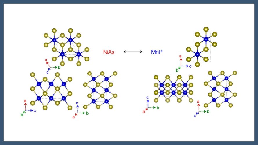 Lattice Dynamics Across the High-Pressure Phase Transition in CrTe