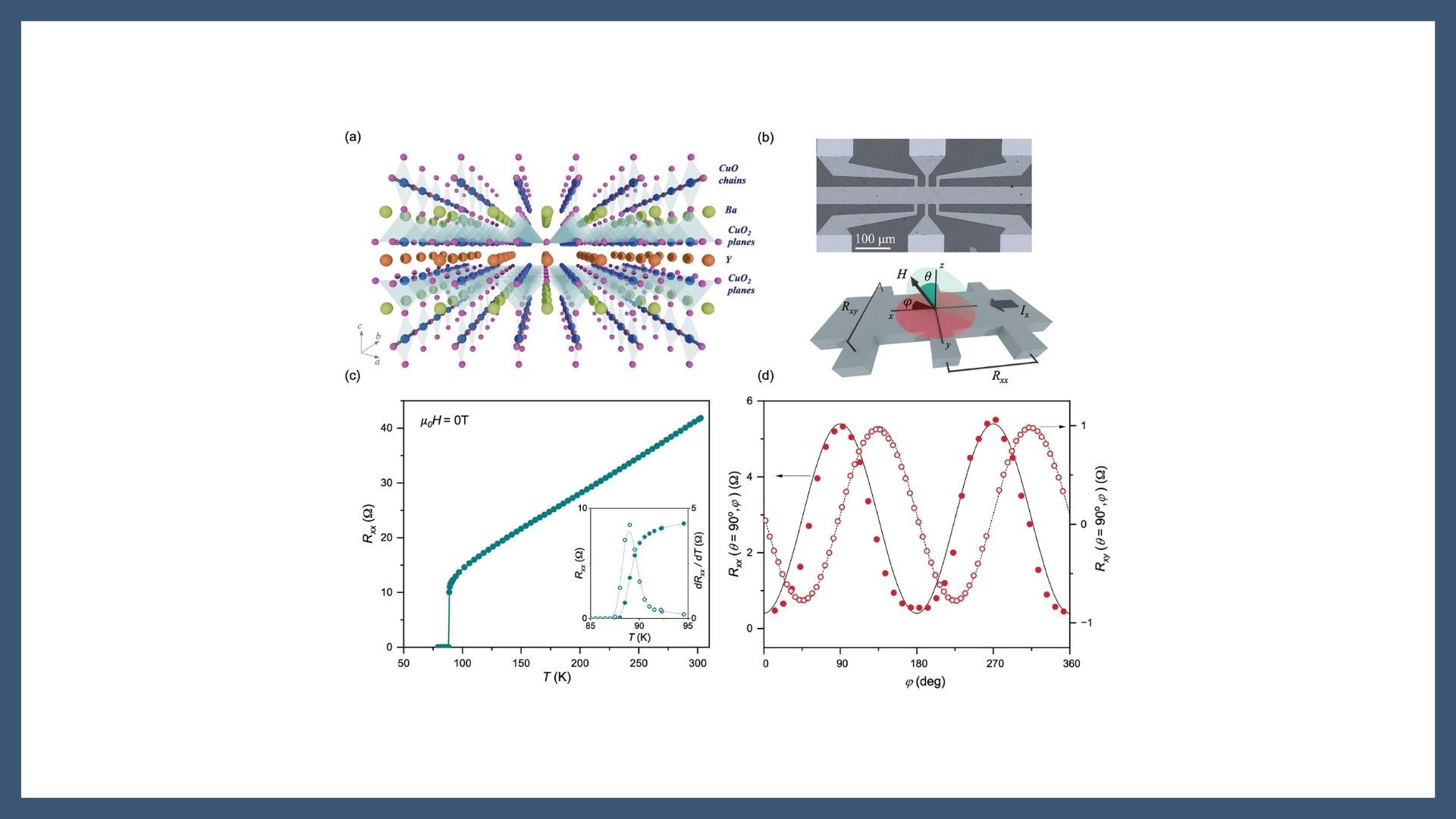 Magnetotransport Signatures of Spin–Orbit Coupling in High-Temperature Cuprate Superconductors