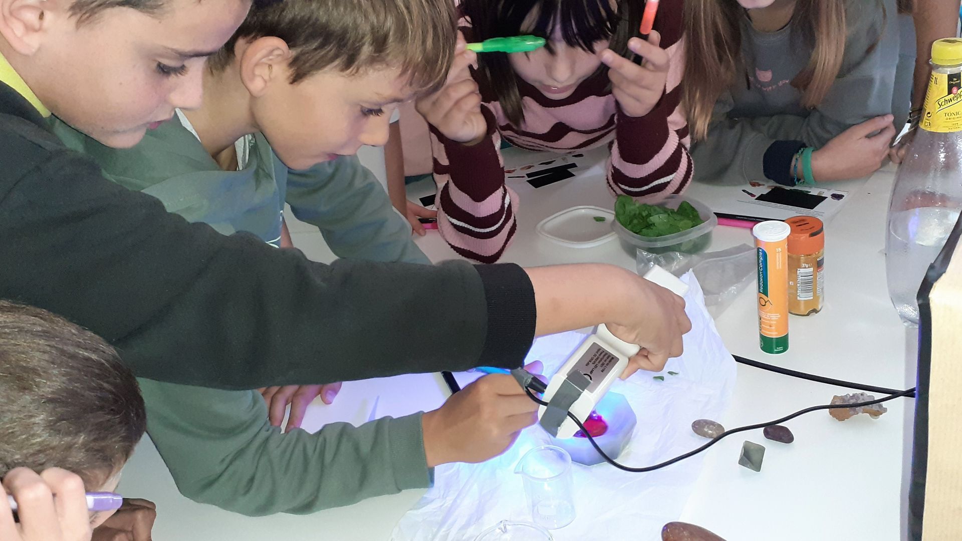 Escola Itaca for the Science Week 2022