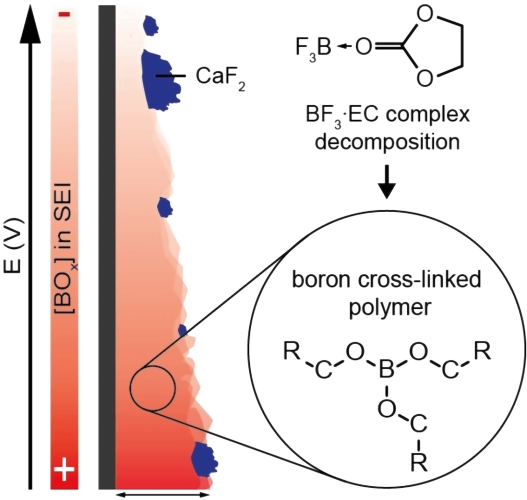 Boron-Based Functional Additives Enable Solid Electrolyte Interphase Engineering in Calcium Metal Battery