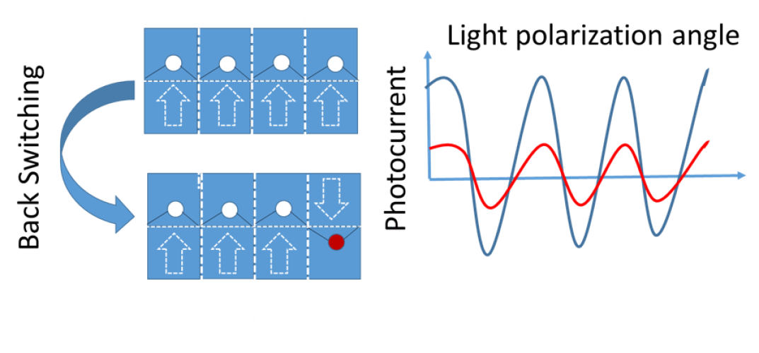 Bulk photovoltaic effect modulated by ferroelectric polarization back-switching