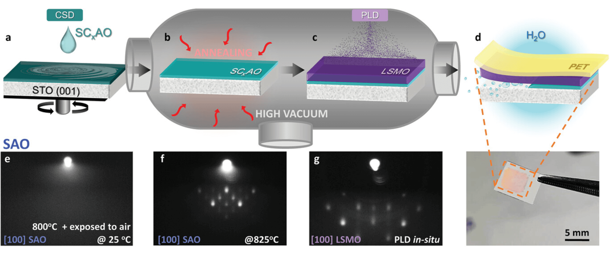 On the Role of the Sr3−xCaxAl2O6 Sacrificial Layer Composition in Epitaxial La0.7Sr0.3MnO3 Membranes