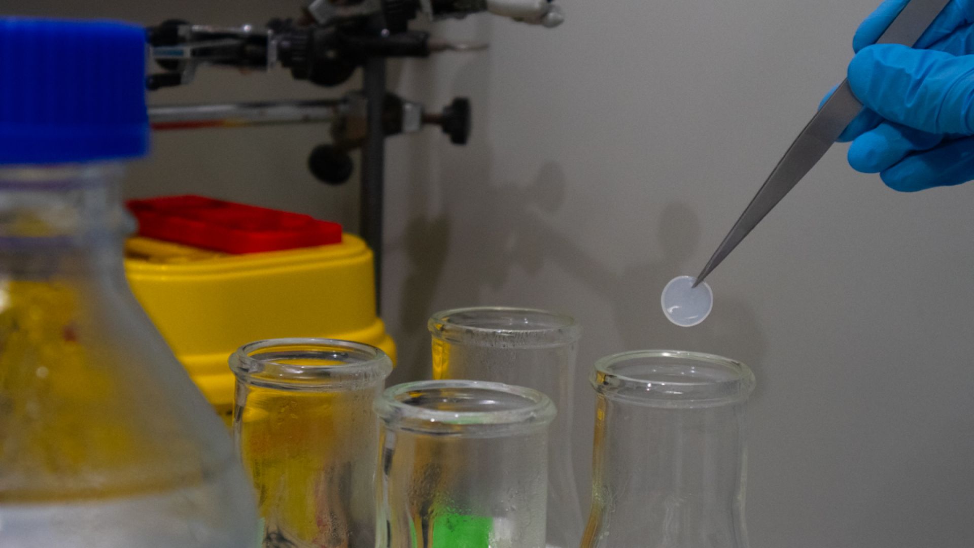 Bacterial cellulose at the NN Lab | ICMAB-CSIC