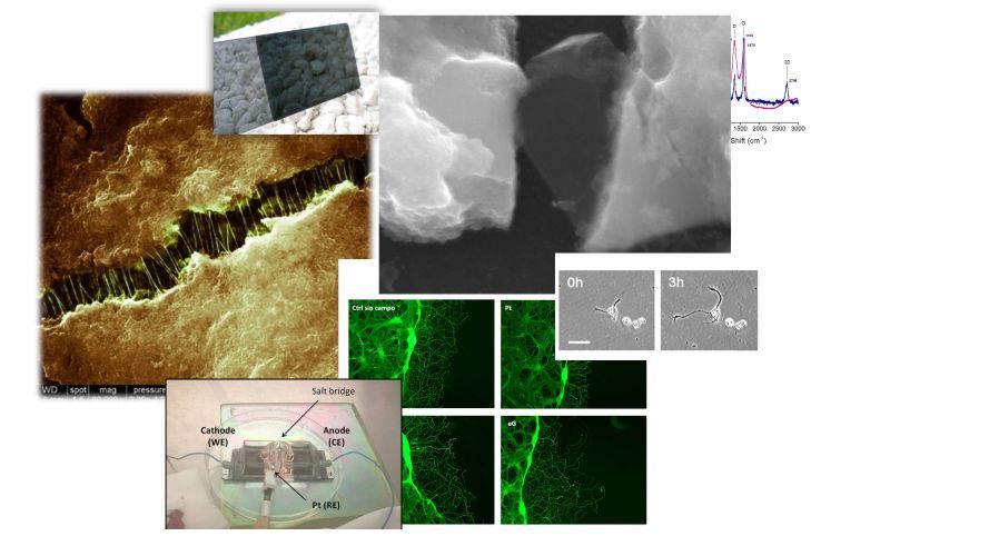 Nanocarbon-Iridium Oxide Nanostructured Hybrids as Large Charge Capacity Electrostimulation Electrodes for Neural Repair
