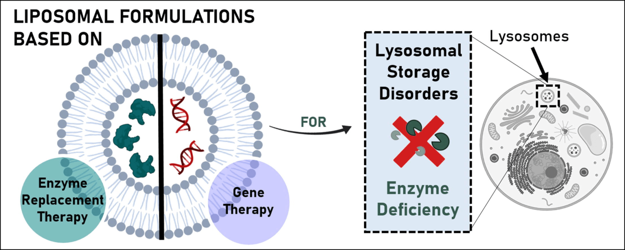 Liposomal formulations for treating lysosomal storage disorders