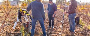 Digging the whole for the IoT wireless sensors in COVIDES vineyards | ICMAB-CSIC
