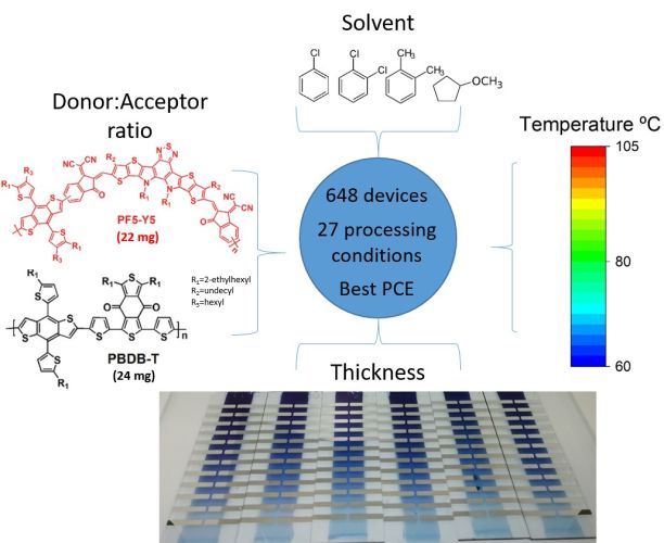 High-throughput screening of blade coated polymer:polymer solar cells: solvent determines achievable performance