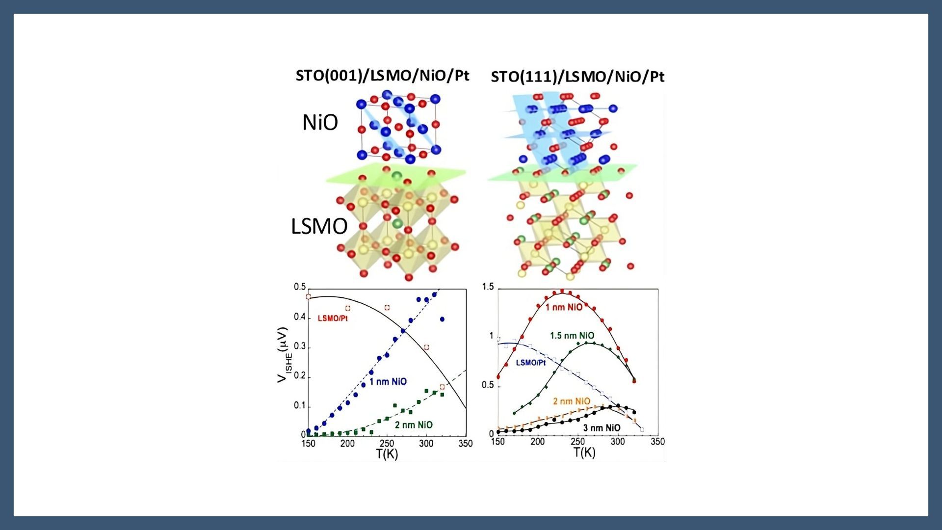 Crystallographic Engineering of Spin Transport in Antiferromagnetic NiO Thin Films