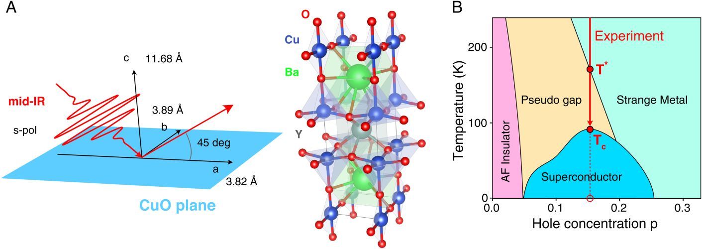 High-harmonic spectroscopy of quantum phase transitions in a high-Tc superconductor