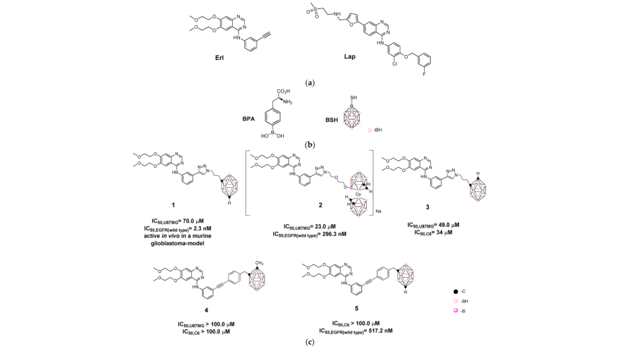 Closo-Carboranyl- and Metallacarboranyl [1,2,3]triazolyl-Decorated Lapatinib-Scaffold for Cancer Therapy Combining Tyrosine Kinase Inhibition and Boron Neutron Capture Therapy