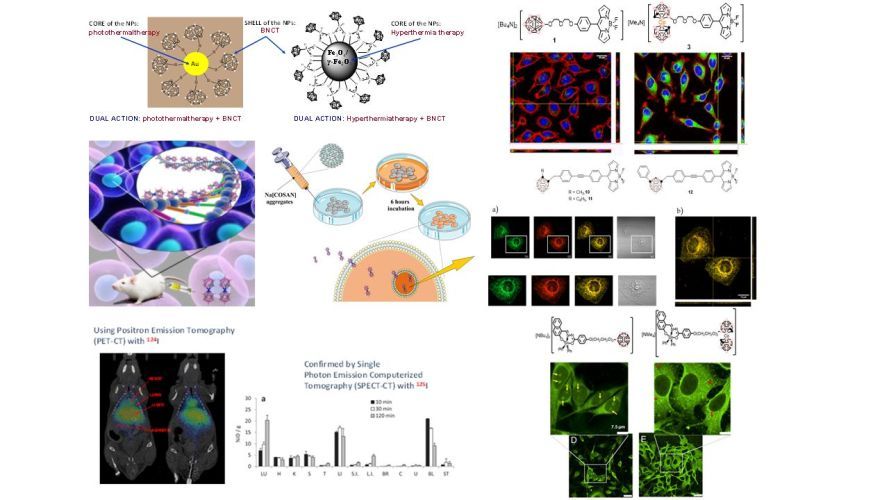 Towards the Application of Purely Inorganic Icosahedral Boron Clusters in Emerging Nanomedicine
