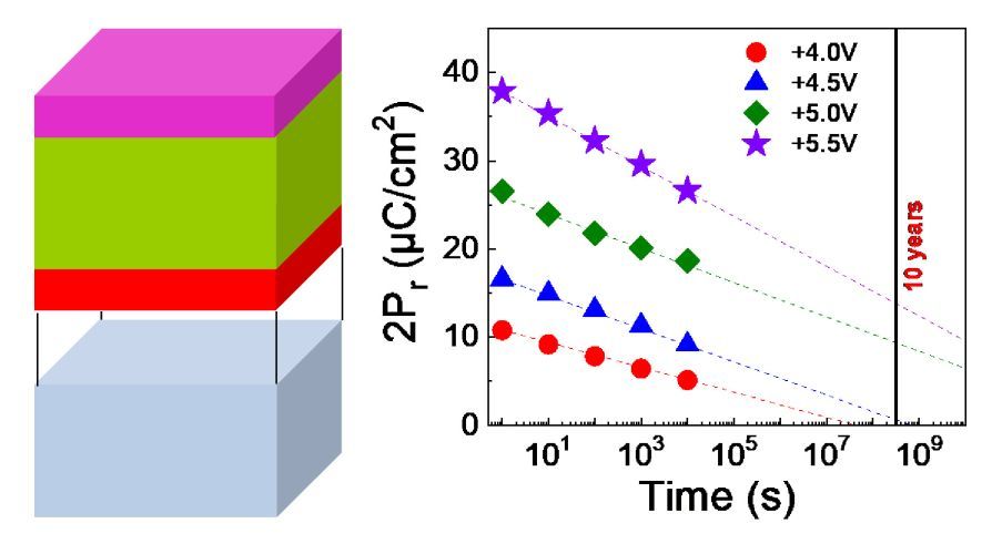 Epitaxial Integration on Si(001) of Ferroelectric Hf0.5Zr0.5O2 Capacitors with High Retention and Endurance