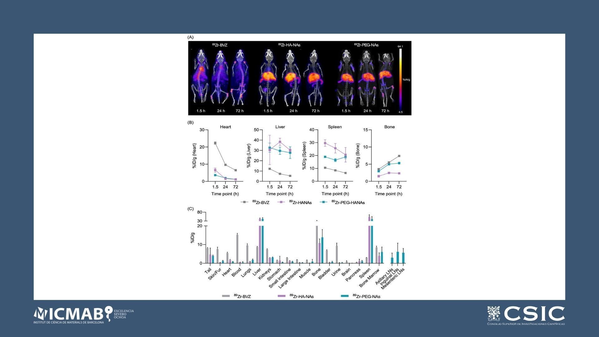 Biodistribution of 89Zr-Radiolabeled Nanoassemblies for Monoclonal Antibody Delivery Revealed through In Vivo PET Imaging