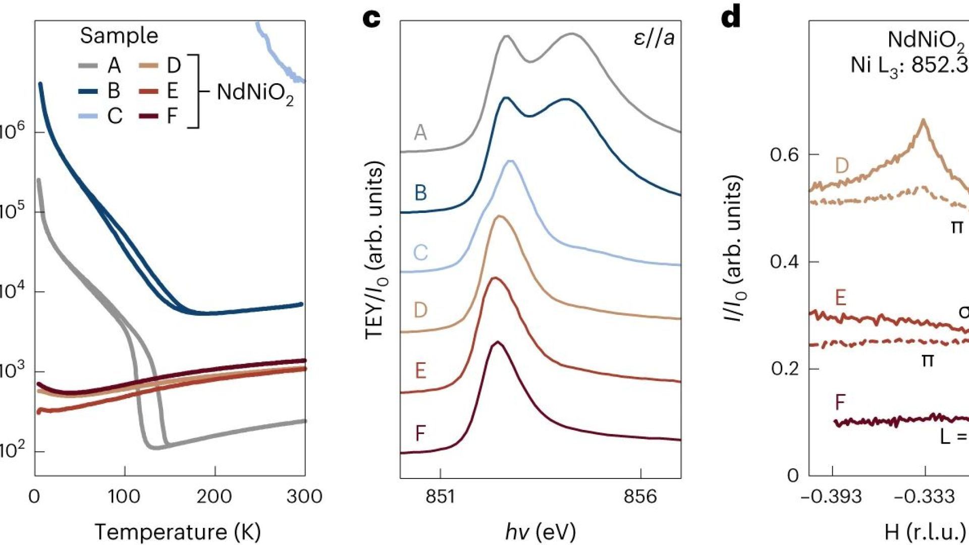 Absence of 3a0 charge density wave order in the infinite-layer nickelate NdNiO2