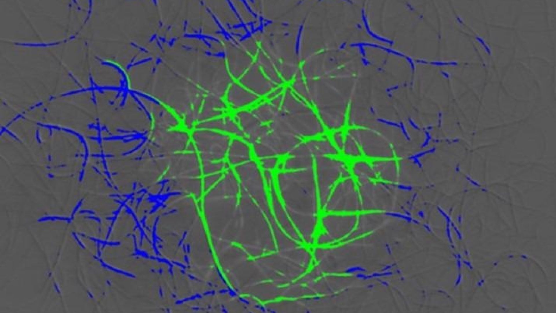 Difference TIRF micrograph showing the areas with depleted and enriched traveller molecules. Image Credit: SLIM Service/University of Nottingham